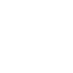 Person presenting on a board icon.